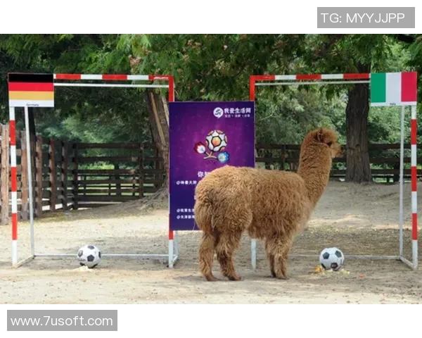 足球明星们的宠物生活揭秘他们都养了哪些可爱的动物伙伴